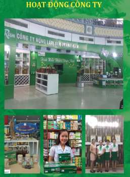 Hệ Thống Phân Phối Sản Phẩm Công Ty Nông Nông Lâm sản Quảng Nam