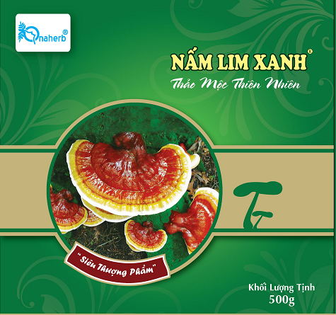 hop nam
