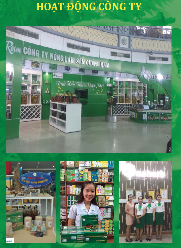 nam lim xanh tien phuoc