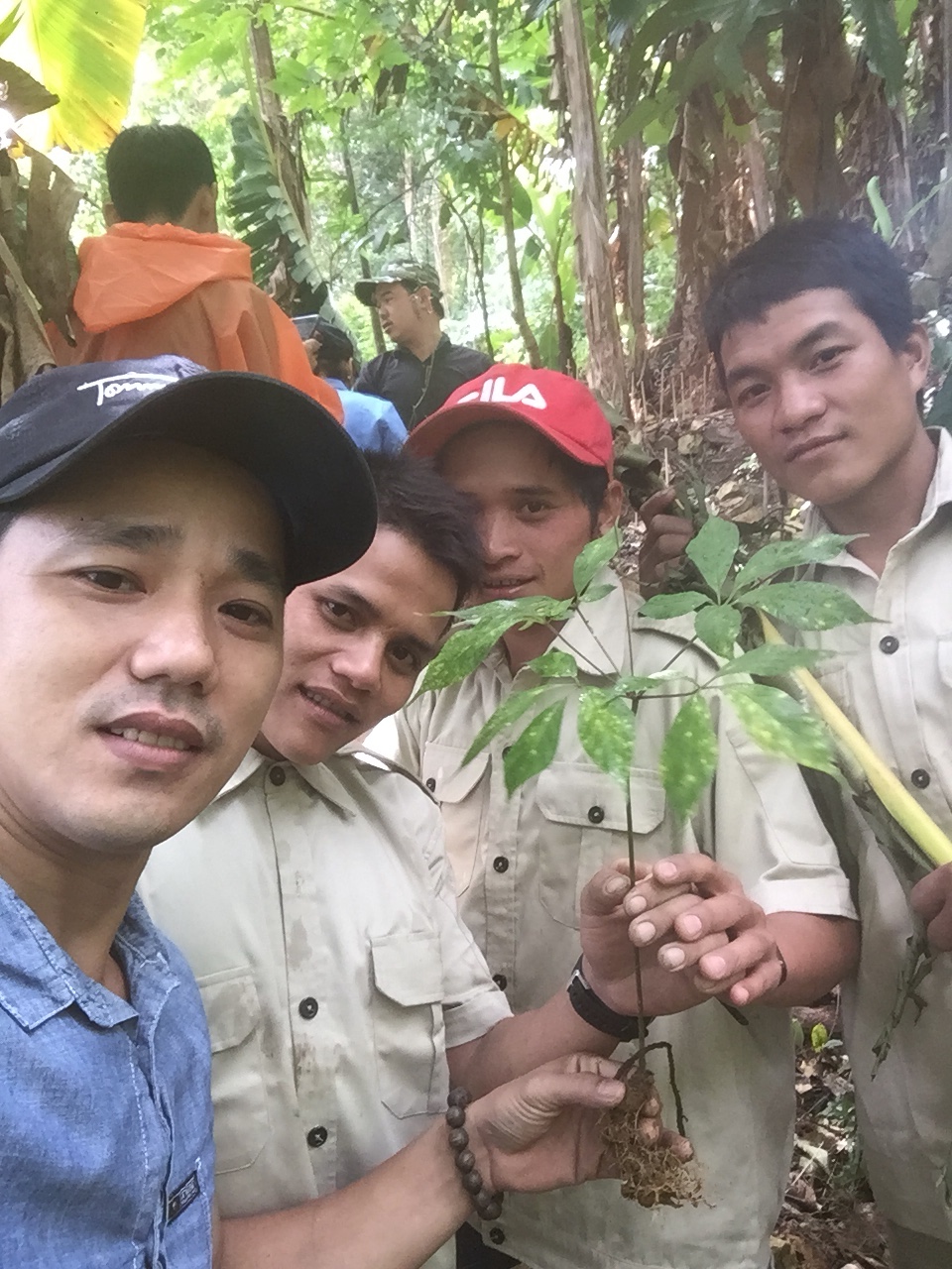 Nhân Viên Công ty Thăm Vườn sâm