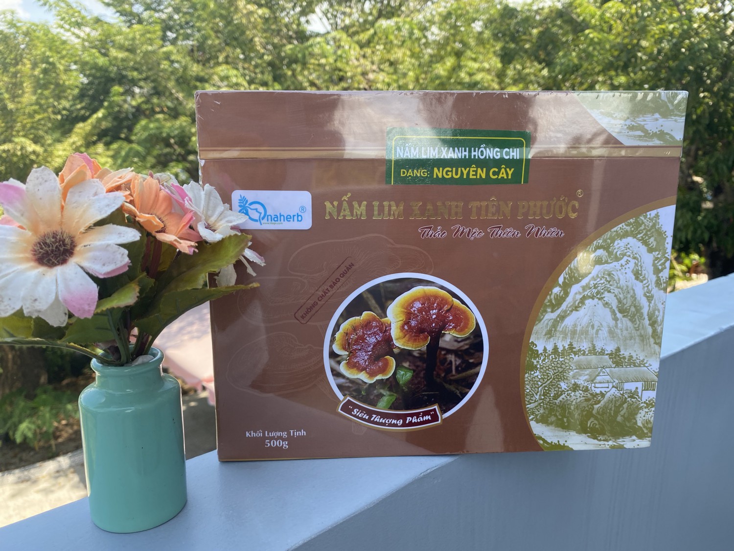 Nấm lim xanh nguyên cây 