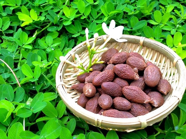 Bàng Đại Hải