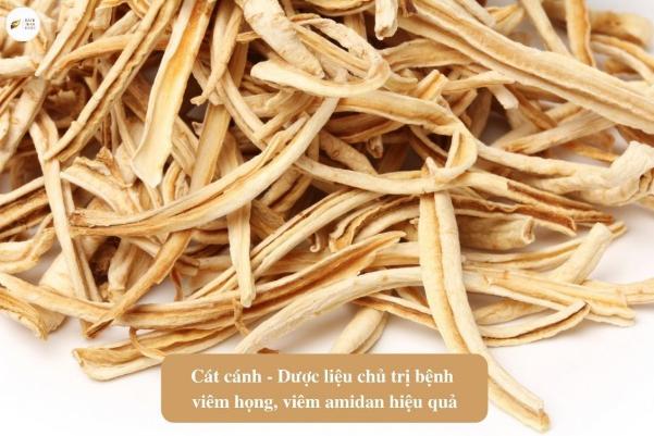 Vị thuốc cát cánh