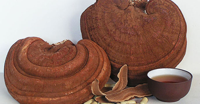 nấm